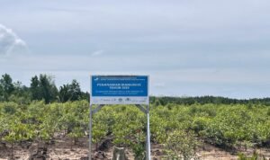 WhatsApp Image 2025-11-07 at 10.12.48