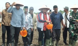 WhatsApp Image 2025-11-09 at 10.17.21