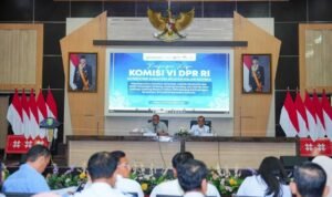 WhatsApp Image 2025-11-12 at 15.55.38 (1)