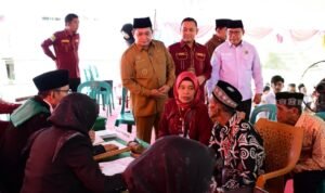 WhatsApp Image 2025-11-18 at 20.14.34